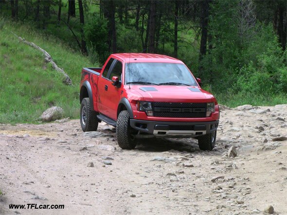 Raptor