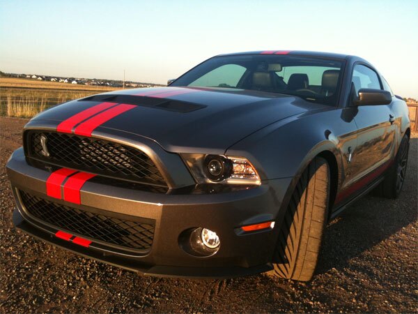 Mustang