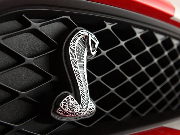 2011-ford-mustang-shelby-gt500-1600x1200-image-9