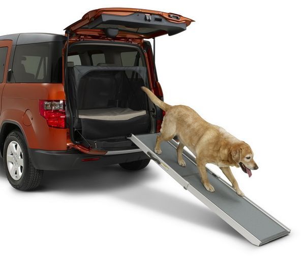 Dog-friendly-package-2010-honda-element-launched-4