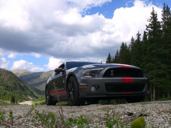 Shelby Shelby