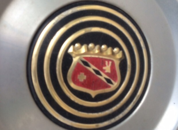 photo 1 (20)