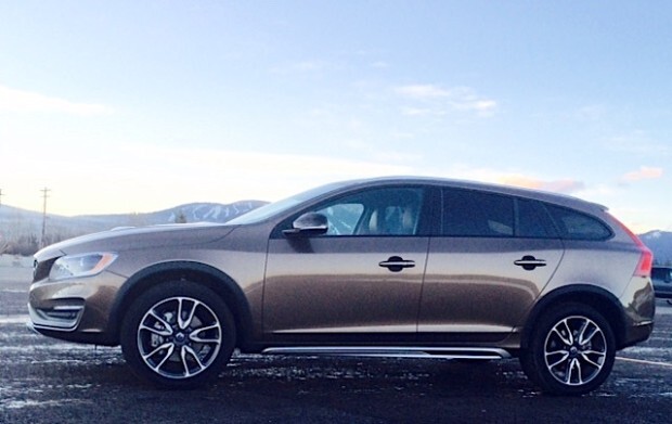 Cross-Country-brown-profile