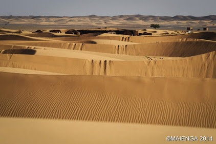 Gazelle Rally Moroccan Desert