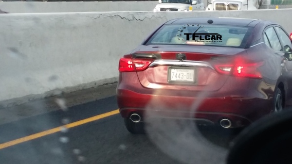 Maxima-rear-1