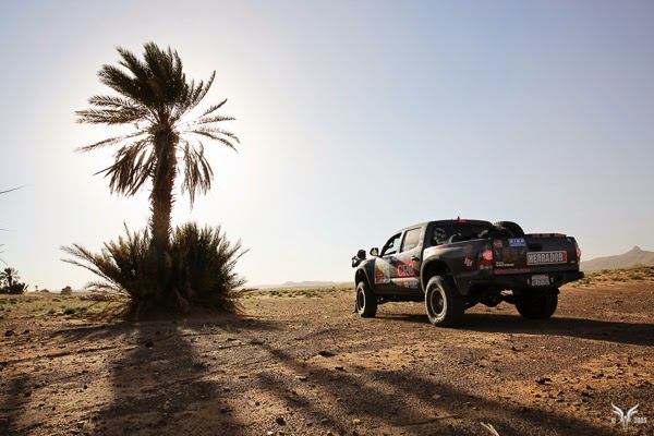 Gazelle Rally