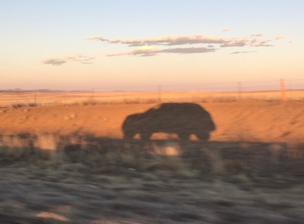2015-vw-touareg-tdi-shadow-road-trip