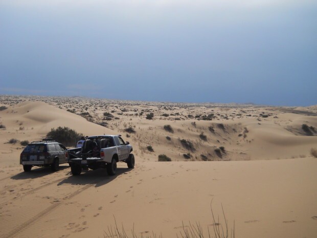 #201 and the 2015 Cortez Rally sweeper truck, surveying the dunes. 