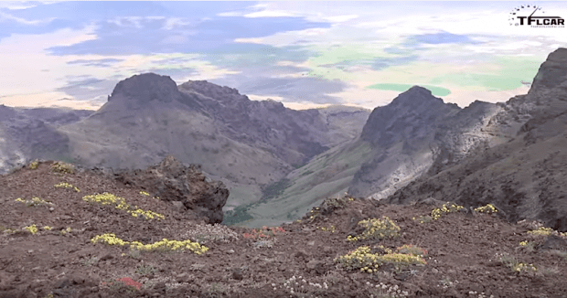 mmusa-oregon-steens-mountain-beauty