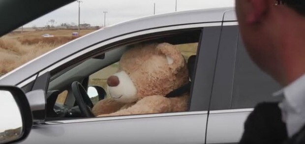 Geoff, TFL Test Bear