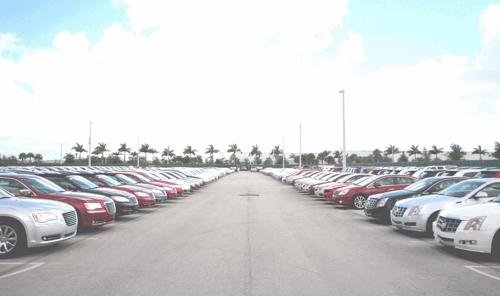 Used car shopping