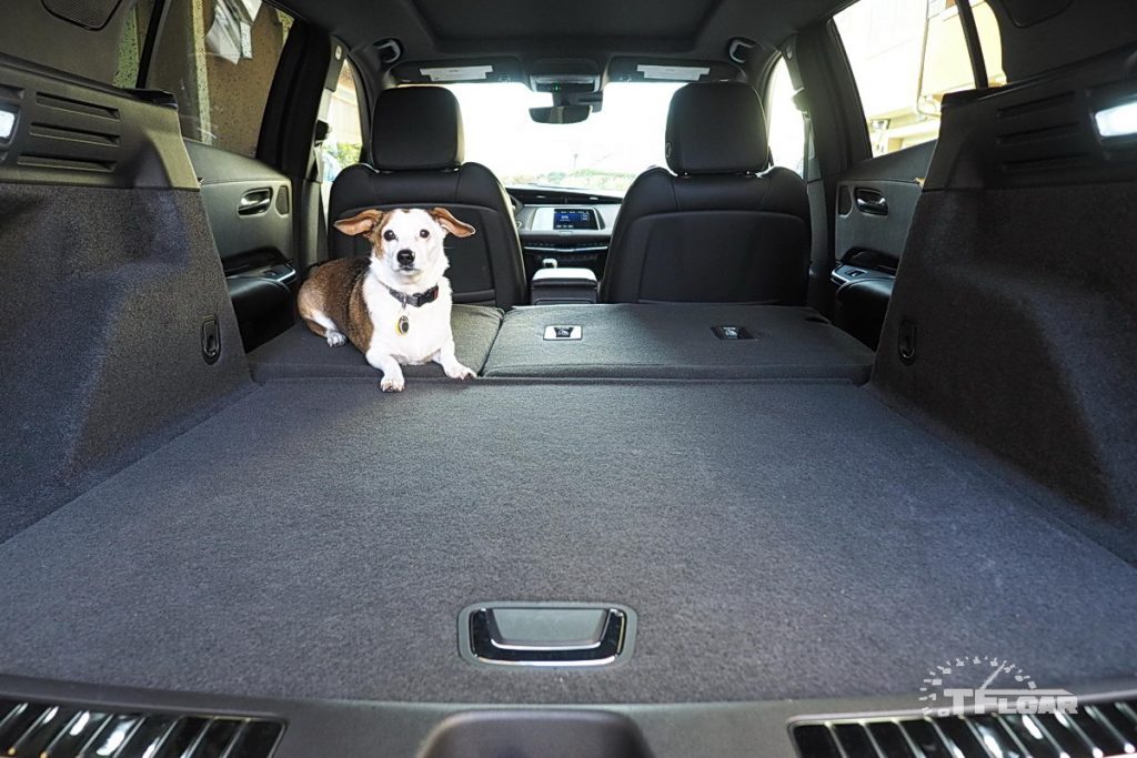 rear cargo area of 2019 Cadillac XT4 AWD Sport with seats folded flat and dog