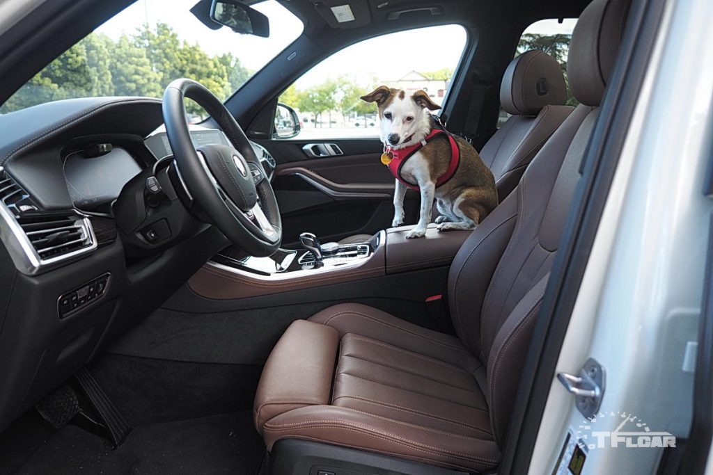 brown front seat of bmw x5 and small dog sitting on center console