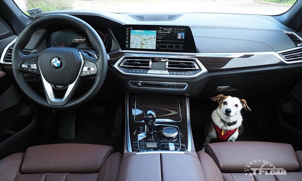 interior of 2019 BMW X5 and small dog in passenger foot well