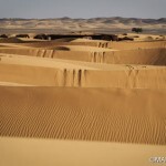 Gazelle Rally Moroccan Desert