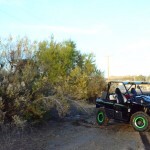 Kawasaki Teryx