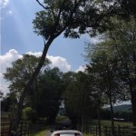 2016 Mazda MX-5