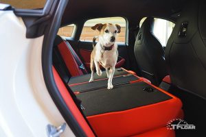 Tessa demonstrates the folding rear seats of 2020 BMW M235i