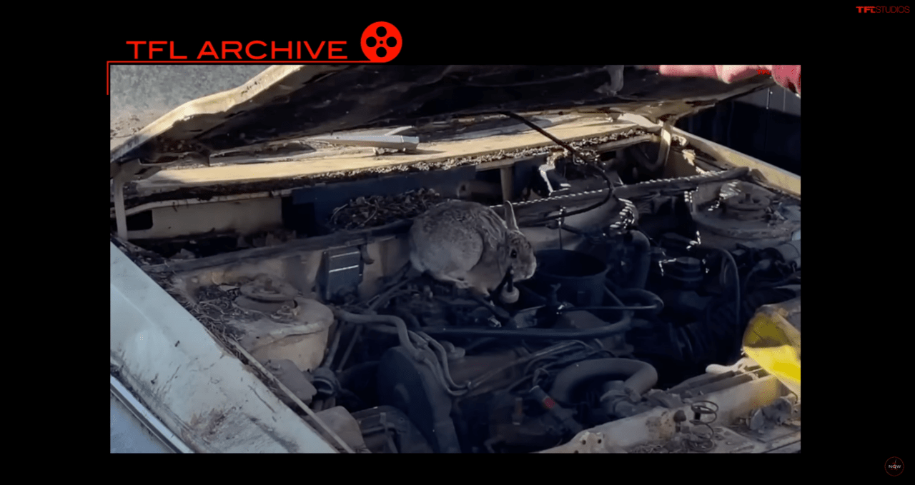 salvage title car