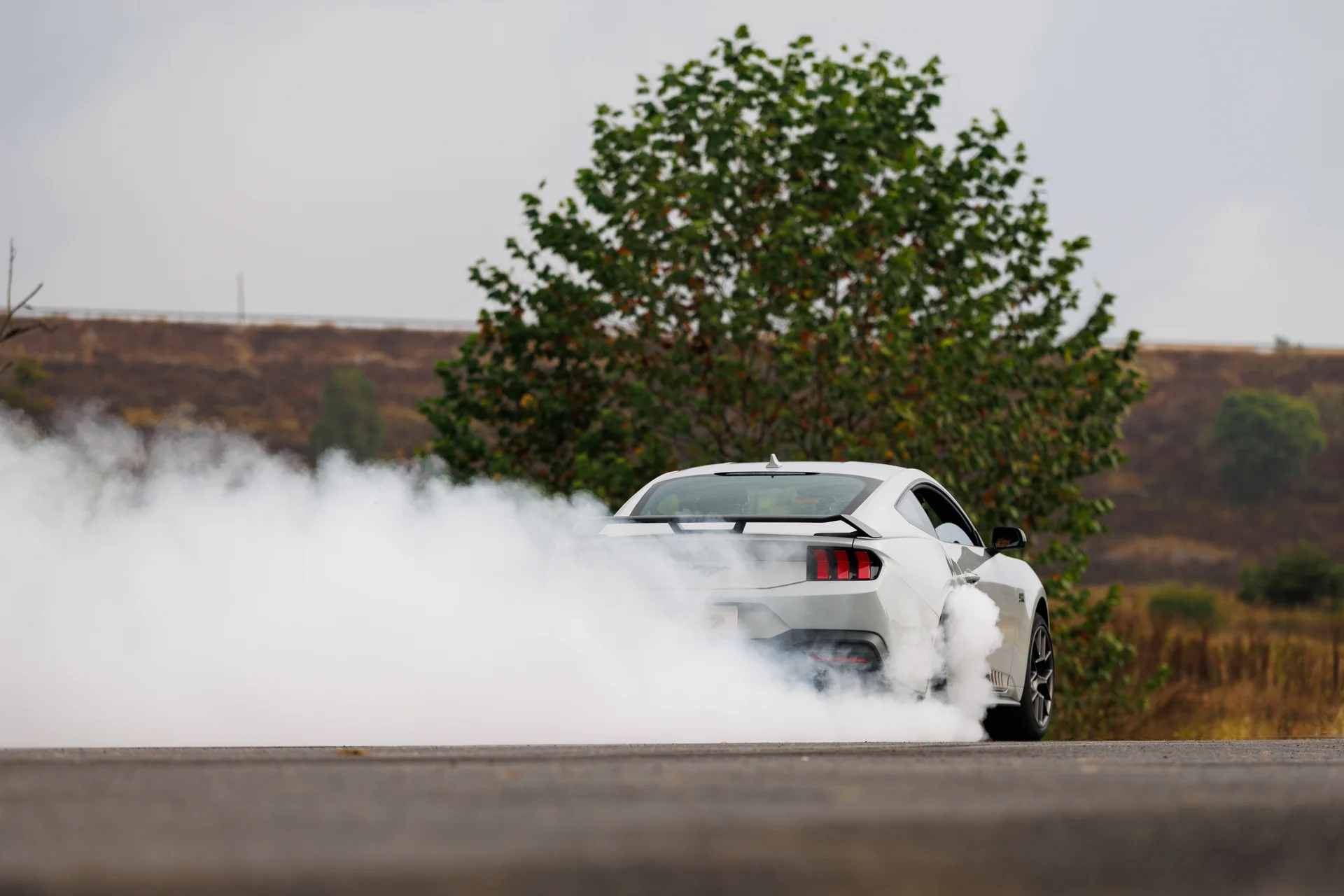 2026 Ford Mustang EcoBoost RTR package