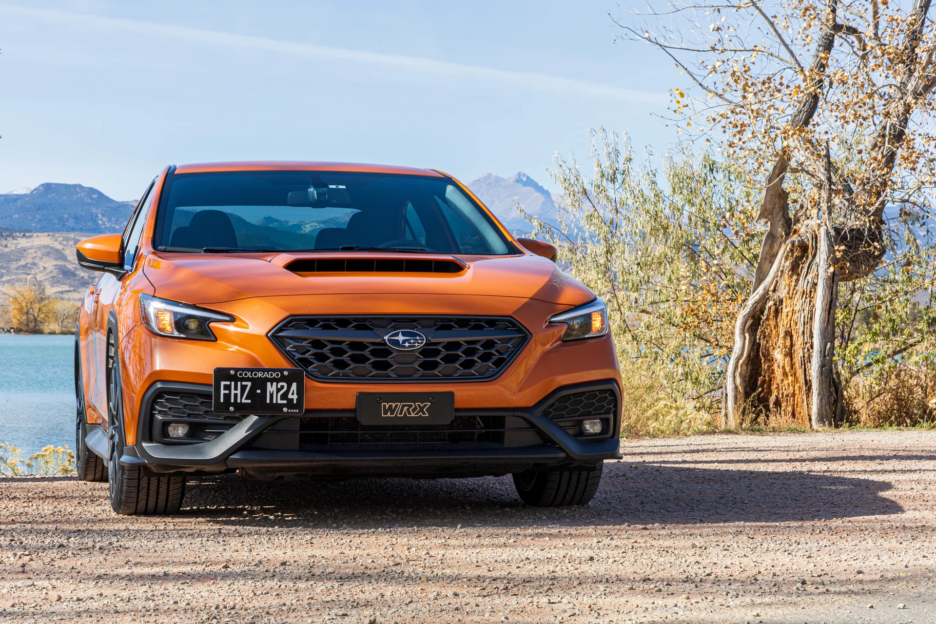 Subaru WRX update
