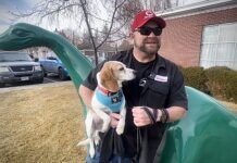 Operation Frodo: I Join Auto Journalists’ Cross Country Mission to Rescue Beagle Puppies