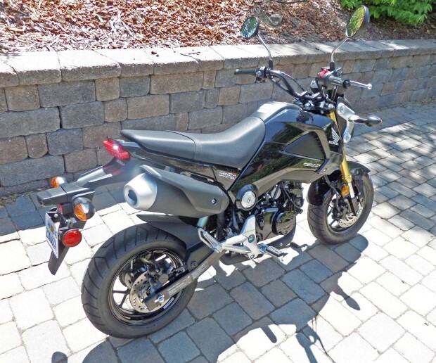 2014 Honda Grom Profile
