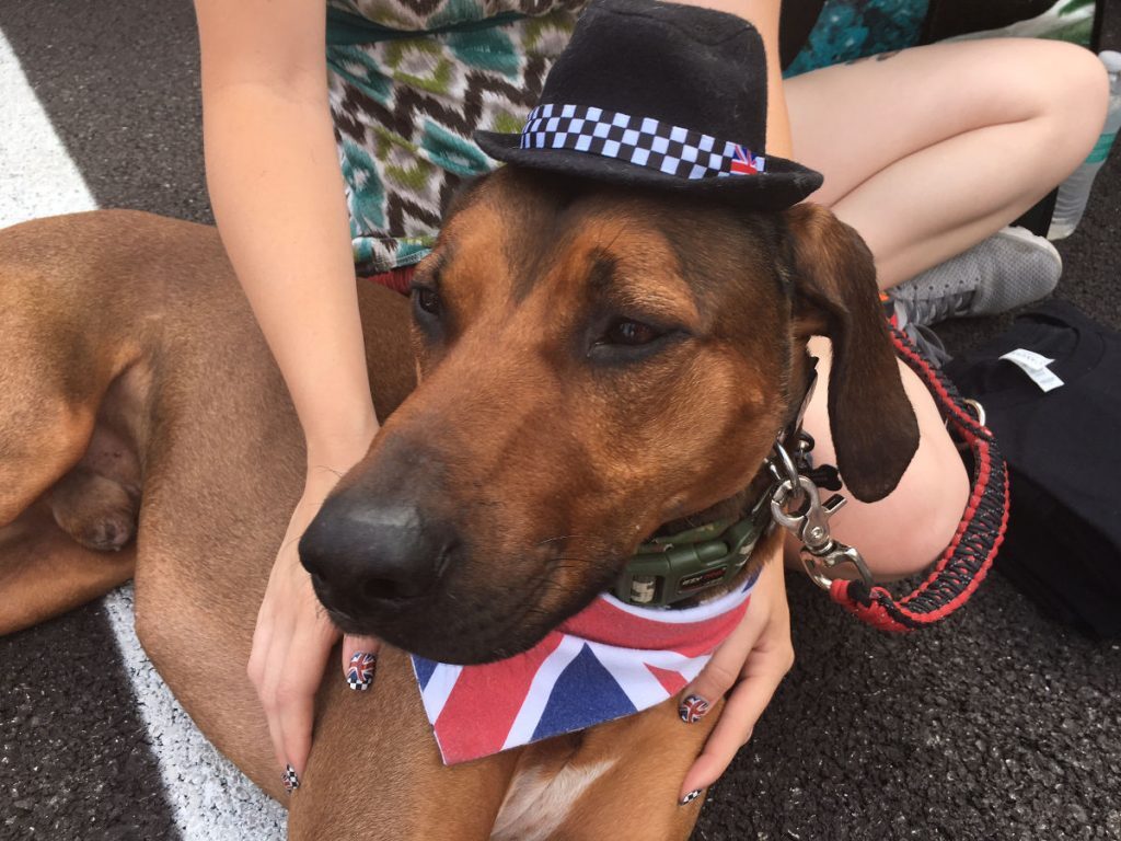 Mini_Takes_The_States_Day_3