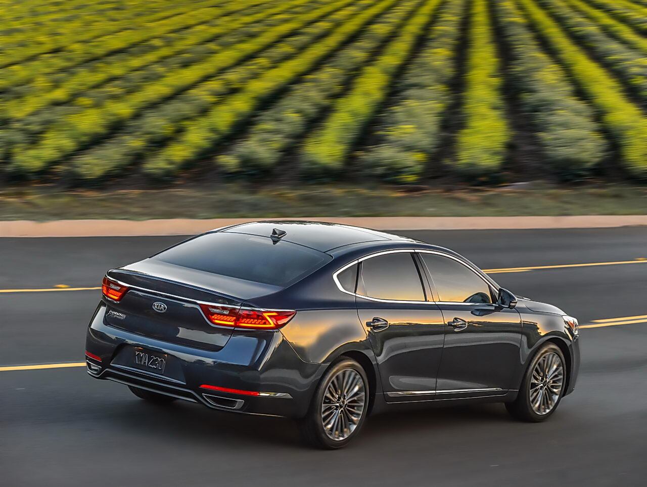 2017 Kia Cadenza