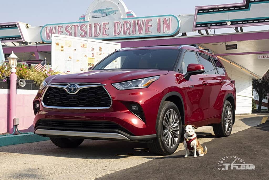 2020 Toyota Highlander Hybrid and small dog